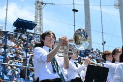 �����񍐎ʐ^